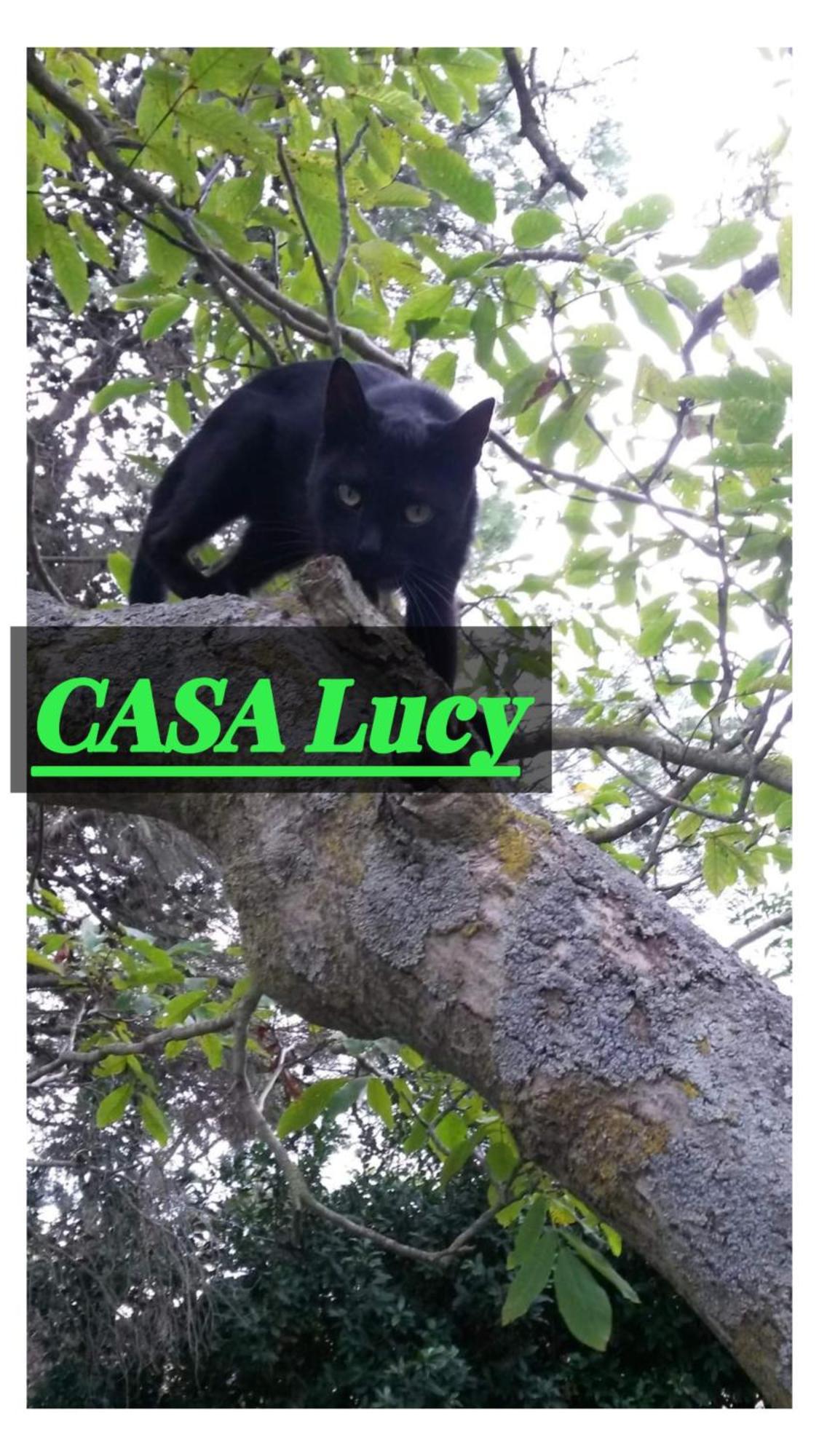 Casa Lucy Apartment Pitigliano Ngoại thất bức ảnh